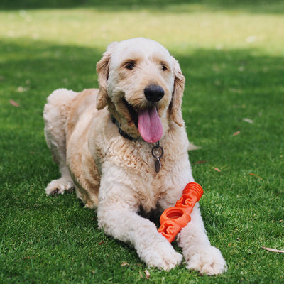 Nunbell Connectables --  Dog Toys