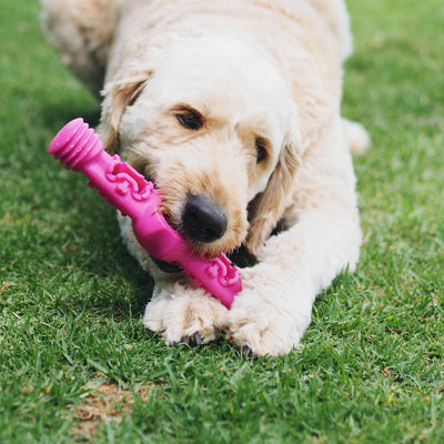 Nunbell Connectables --  Dog Toys