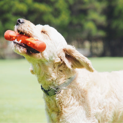 Nunbell Connectables --  Dog Toys