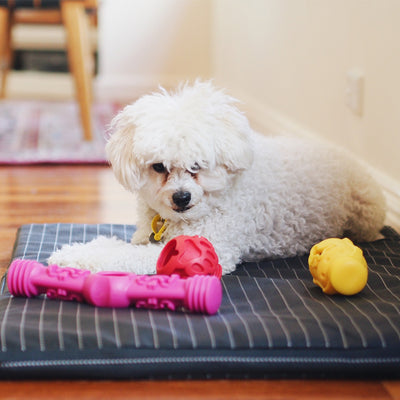 Nunbell Connectables --  Dog Toys