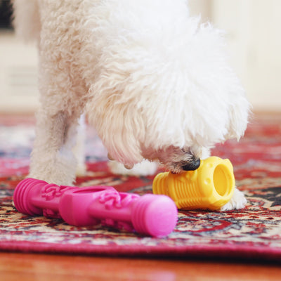 Nunbell Connectables --  Dog Toys