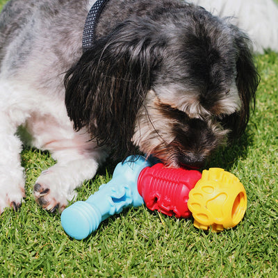 Nunbell Connectables --  Dog Toys