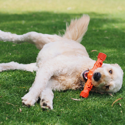 Nunbell Connectables --  Dog Toys