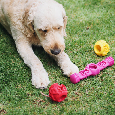 Nunbell Connectables --  Dog Toys