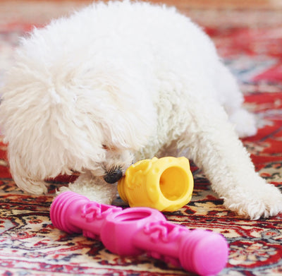 Nunbell Connectables --  Dog Toys