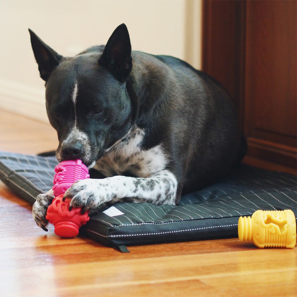 Nunbell dog puzzle toys, large size interactive dog toys for large