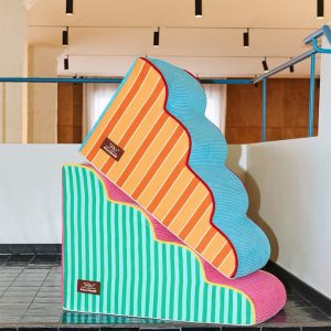 Nunbell Pet Ramp and Stair