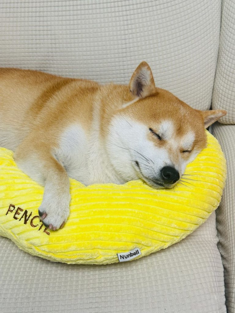 129