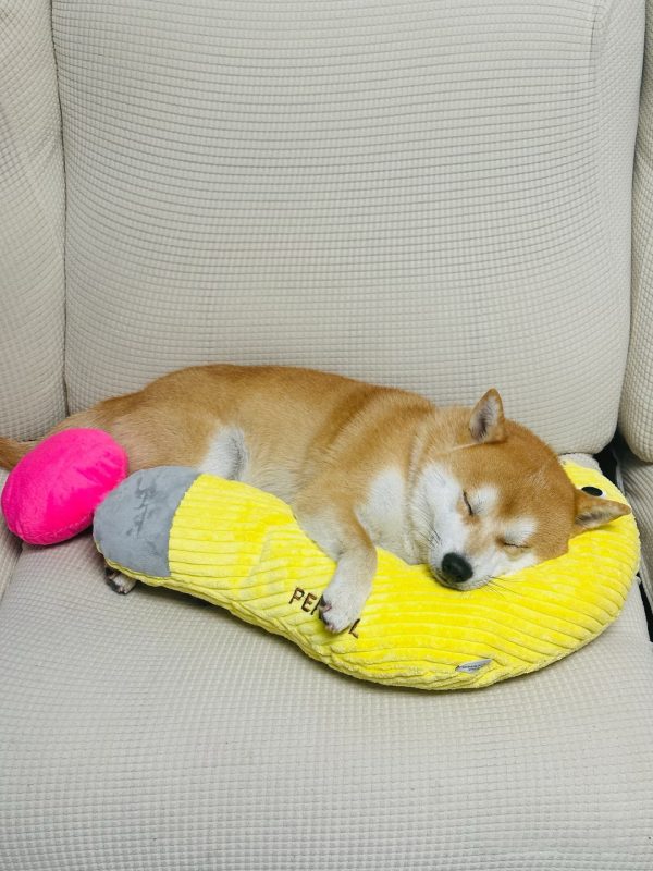 Nunbell Pet Household Pillow - Image 3