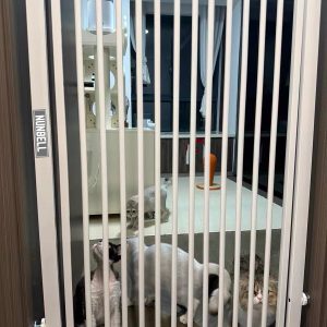 Nunbell Pet Satefy Gate