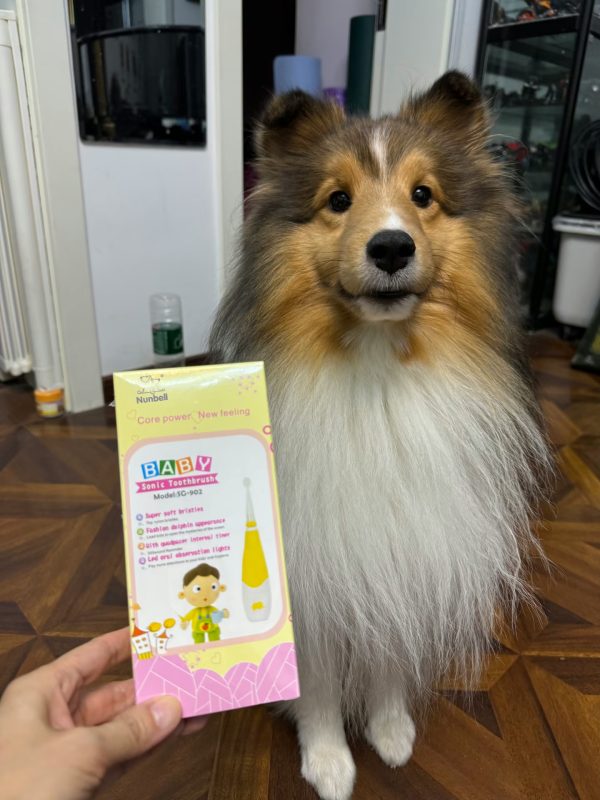 Nunbell Pet Electric Brushes
