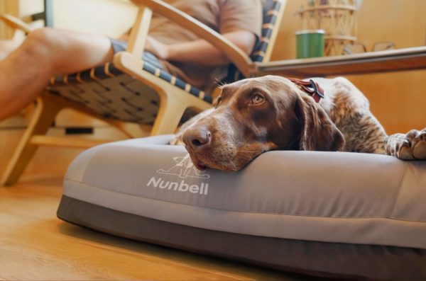 Nunbell Pet Inflatable Bed - Image 2