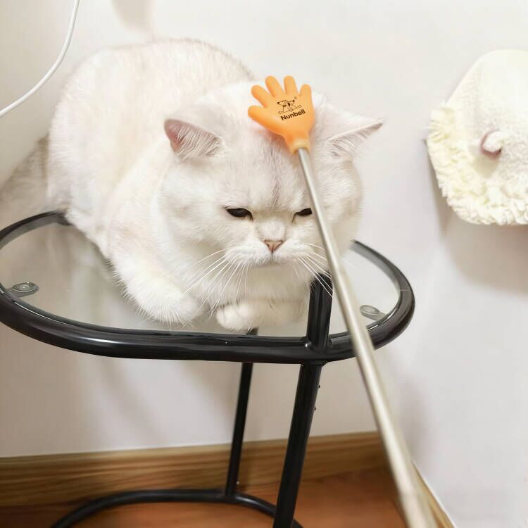 Nunbell Pet Scratch Stick - Image 2