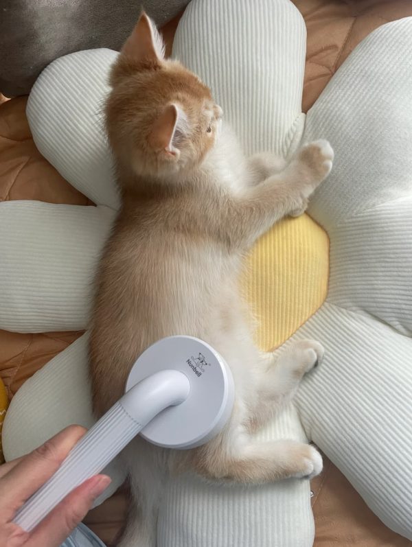 Nunbell Pet Electric Brushes