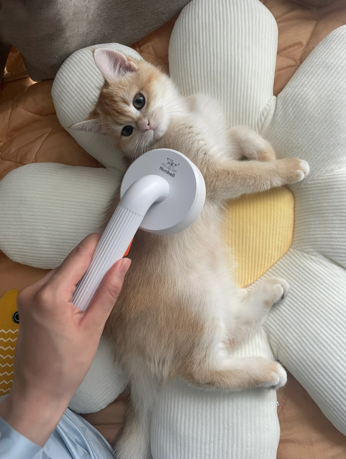 Nunbell Pet Electric Brushes - Image 3