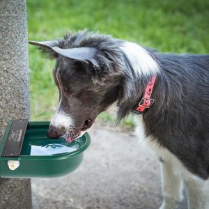 Nunbell Pet Drinking Trough